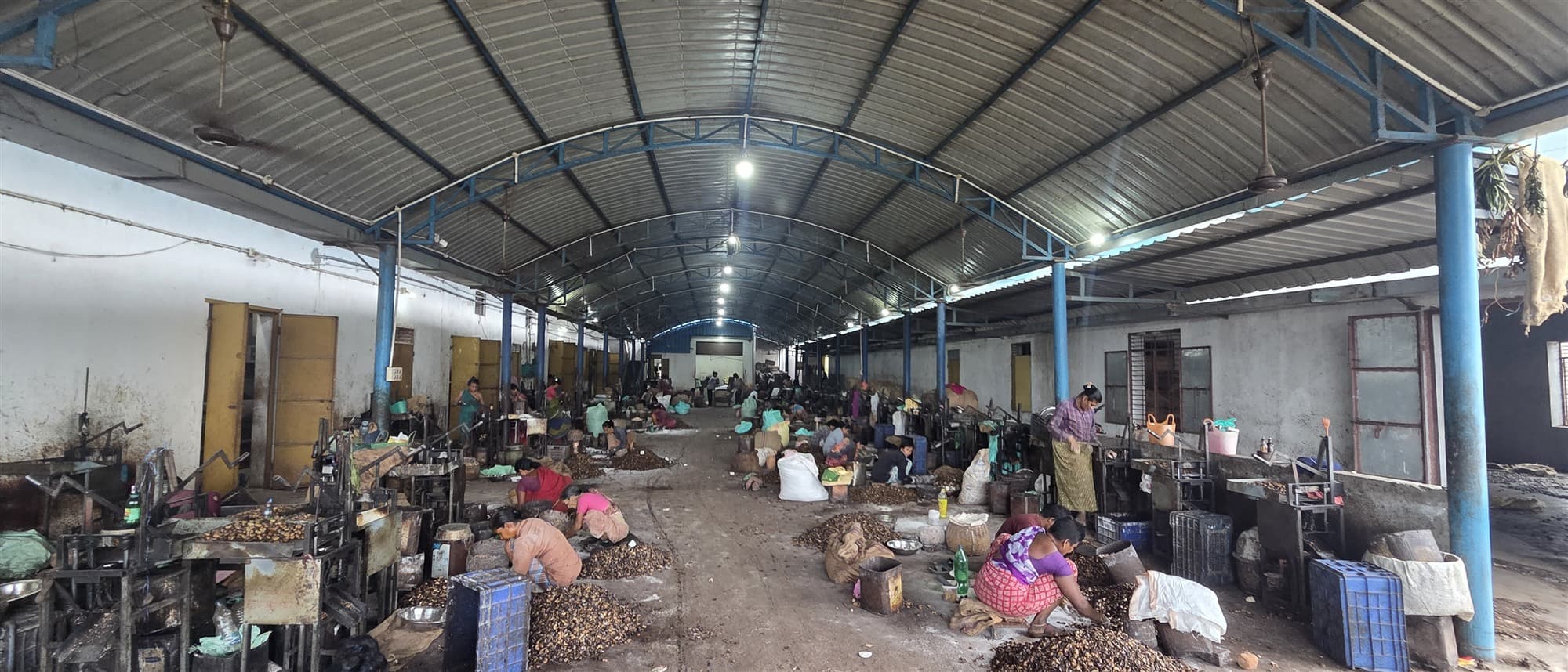 Unit 1 - Manual Kernel Sorting & Quality Inspection (Palasa)